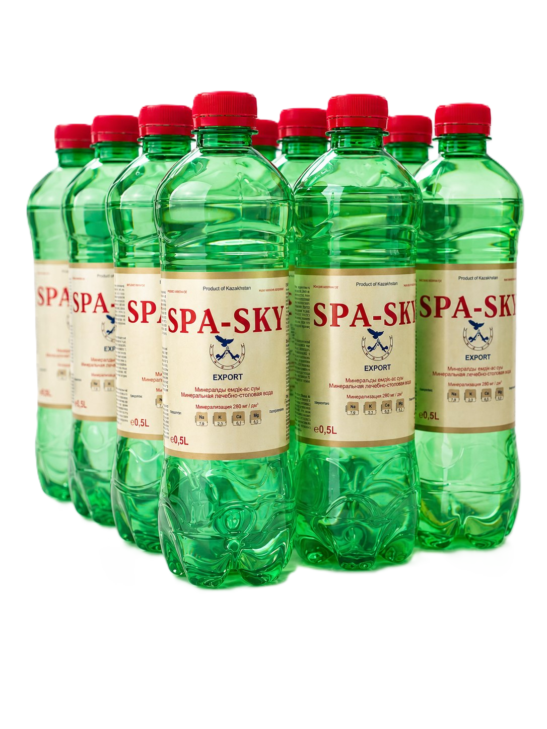 SPA-SKY упаковка 12×0.5L